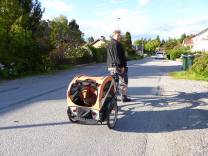 Först cykelturen med cykelkärran